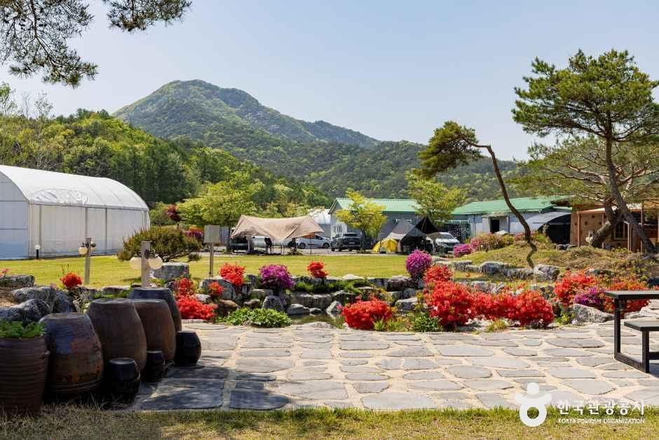 해밀터 - 충청북도 괴산군 청천면 이평4길 23-16 관광 명소