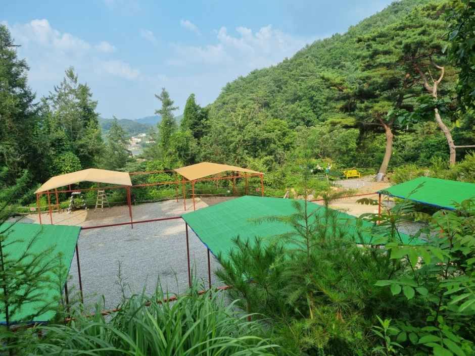 Dumi-ri Tourist Farm