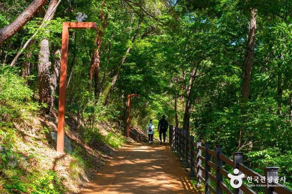 용두산 생태공원
