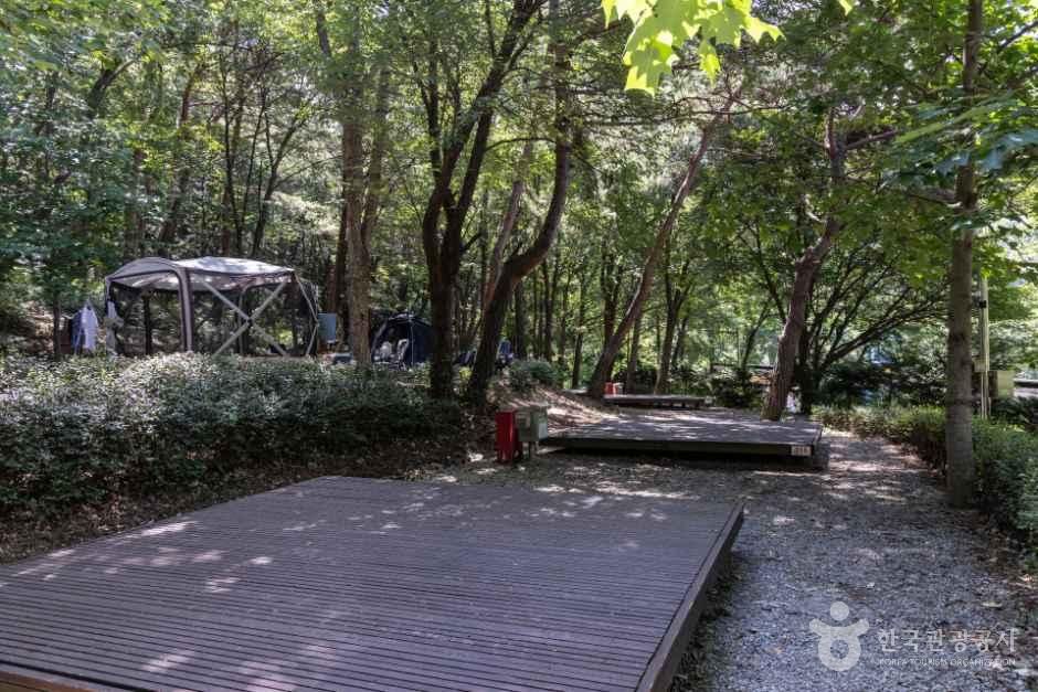 용현자연휴양림야영장 사진 2