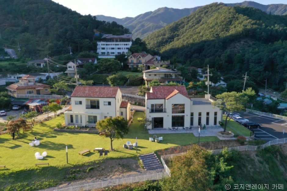 科吉与雷吉