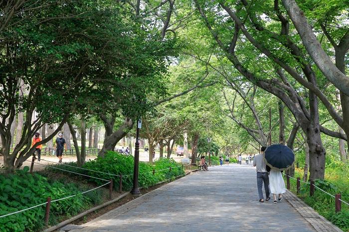 木陰が涼しい大王岩公園の四季の道