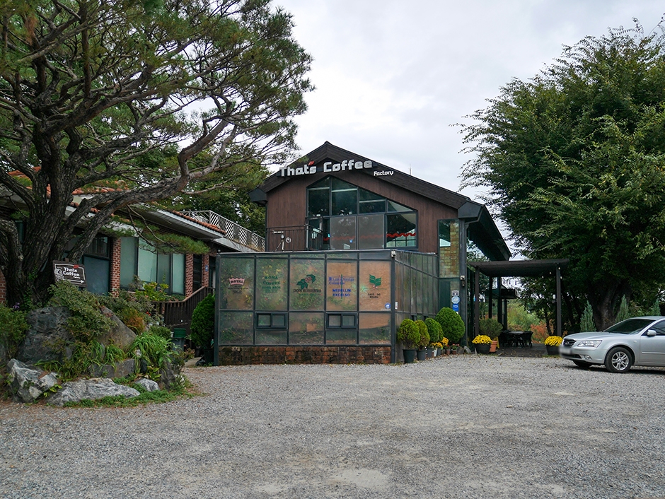 The Tz Coffee Factory