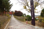홍천 무궁화공원 (25)
