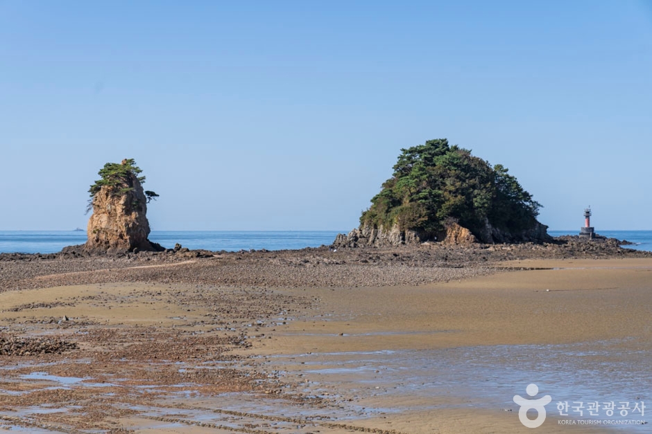 花芝海岸公园