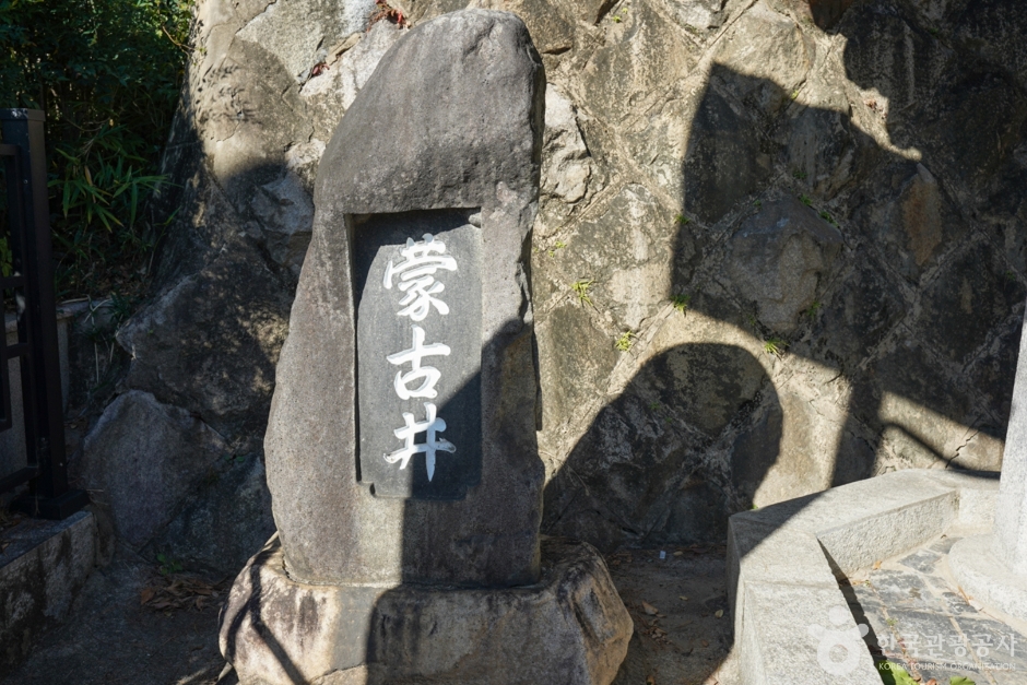 蒙古井
