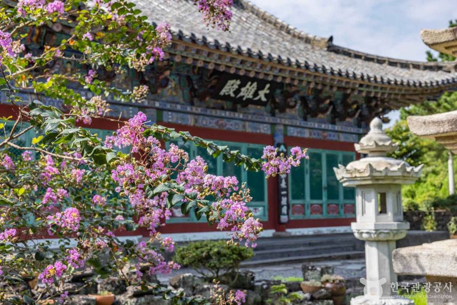 금룡사(제주)