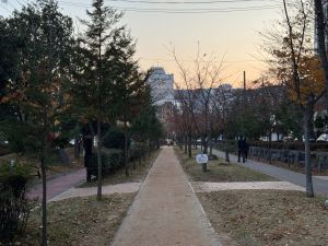 임항선 그린웨이 사진 7