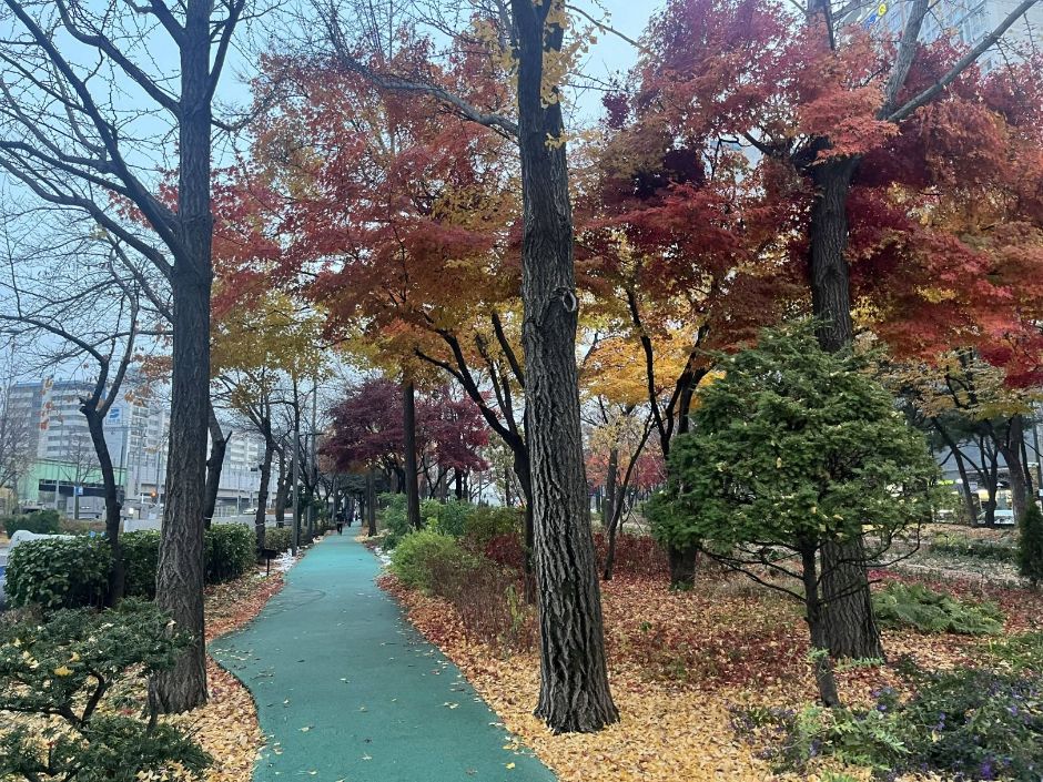 Guro Street Park