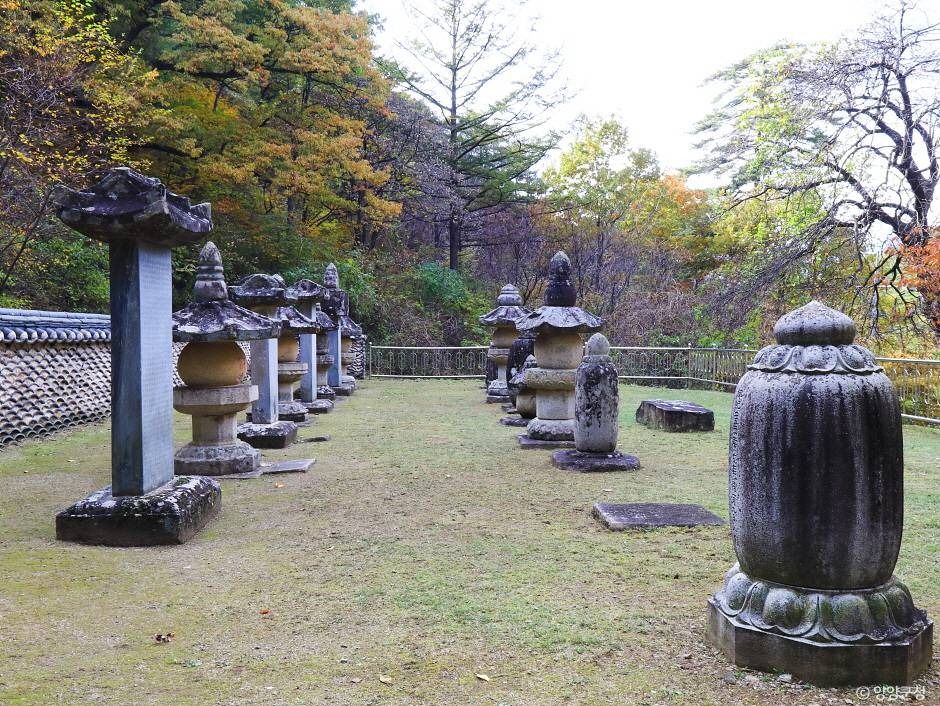 명주사부도군