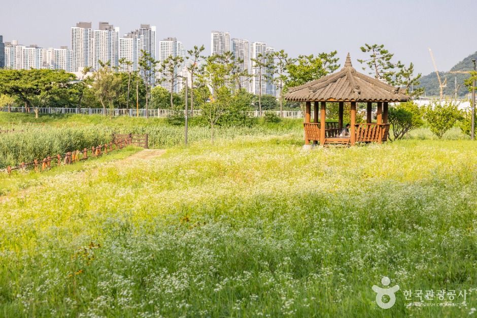 Namhang Neighborhood Park