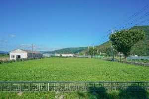 김해 예안리 고분군