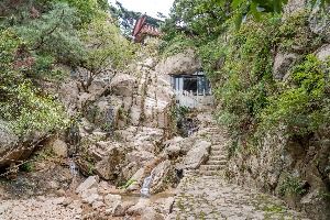 종로_금선사(서울) (6)