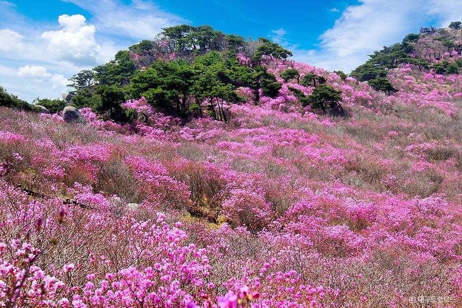 琵瑟山郡立公園