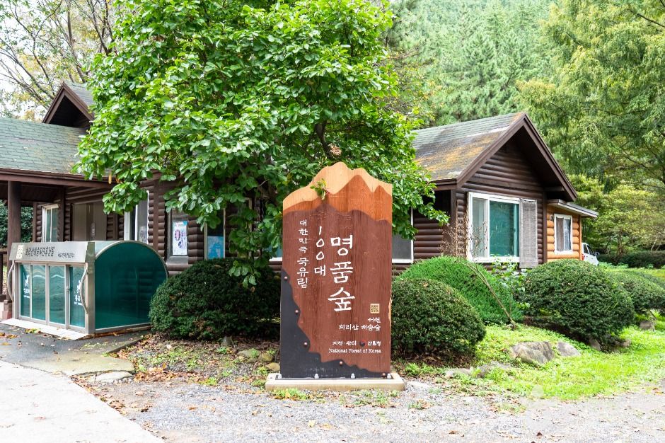 国立 希里山海松自然休养林