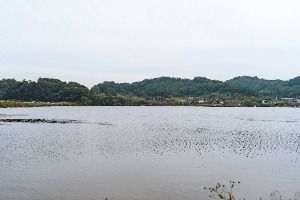 면천낚시터 사진 2