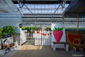 3589036 image3 1 예스키즈존 탐험대 : 실패 없는 육아여행