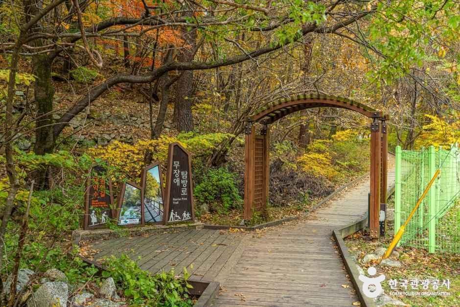 양양_설악산 오색주전골 (2).jpg