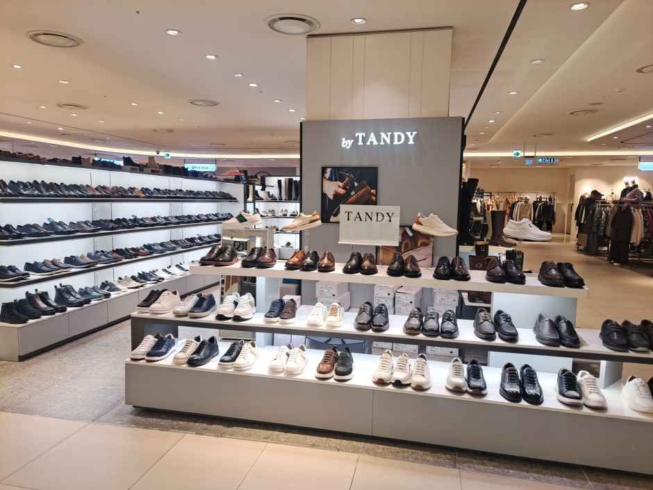 탠디 현대아울렛 동대문점