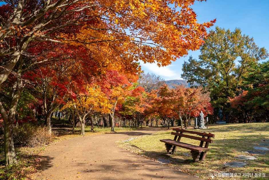 내장산조각공원