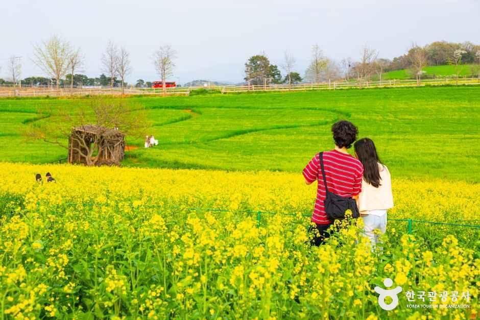 넓은들 학원농장