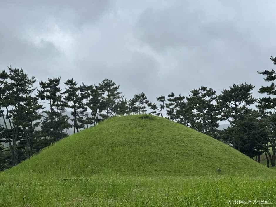 4063436 image2 1 예스키즈존 탐험대 : 실패 없는 육아여행
