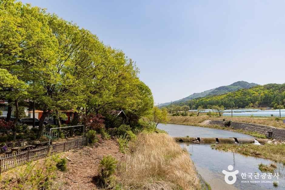 청천 화양동관광농원 초롱이캠핑장