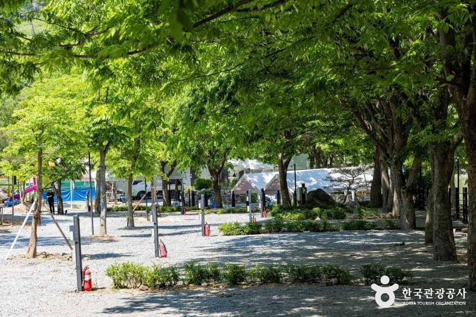 엘림펜션오토캠핑장