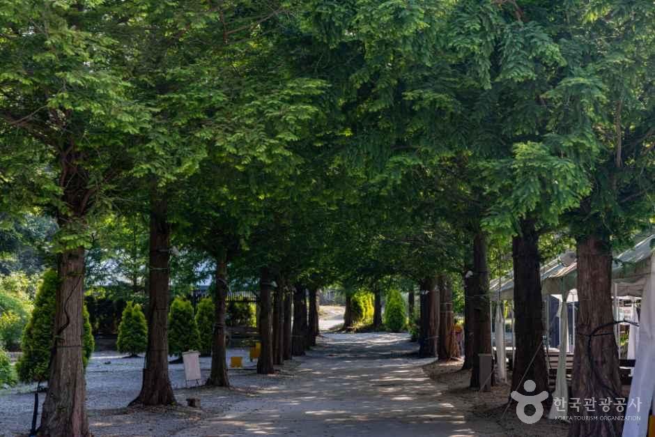 강화도산들애캠핑수영장 사진 8