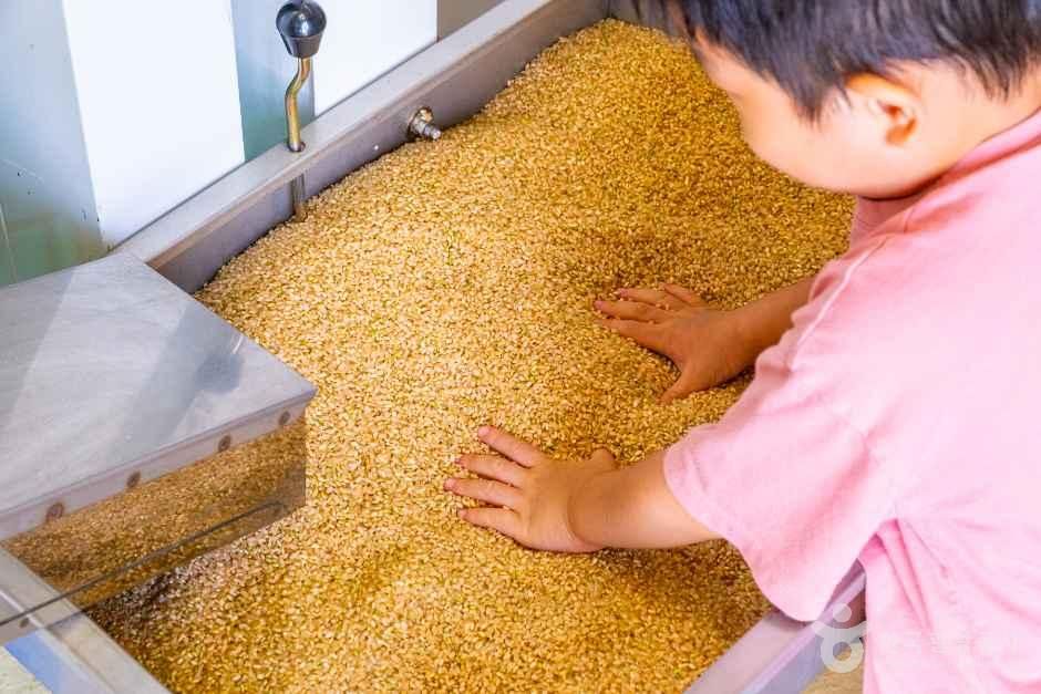 랑이네 이음 정미소