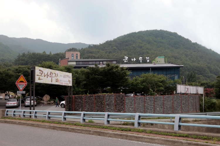 大树家