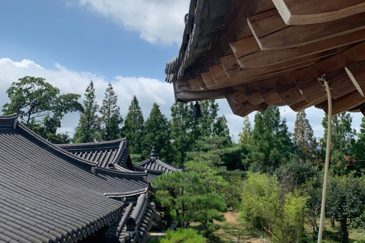 仰露古宅