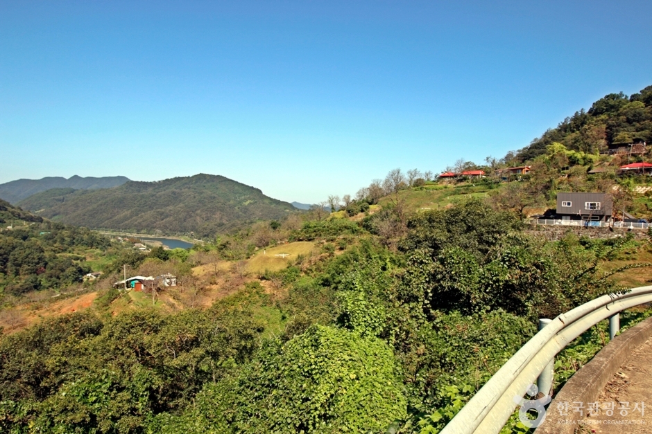 高野