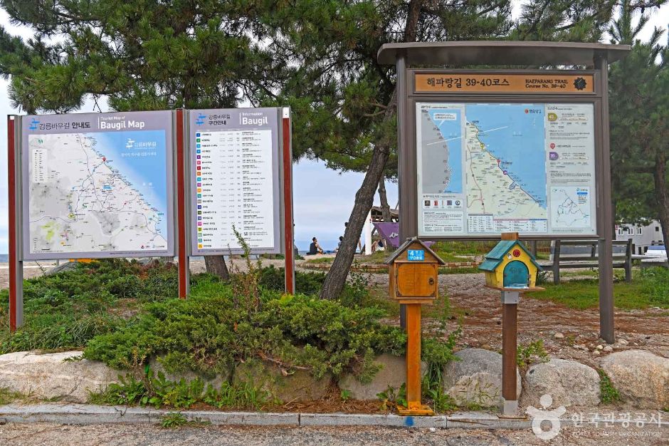 [江陵バウギル 5区間] 海湖の道