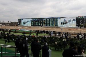 렛츠런파크 서울