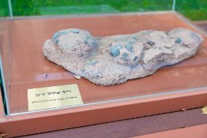 보성 비봉리 공룡알 화석산지