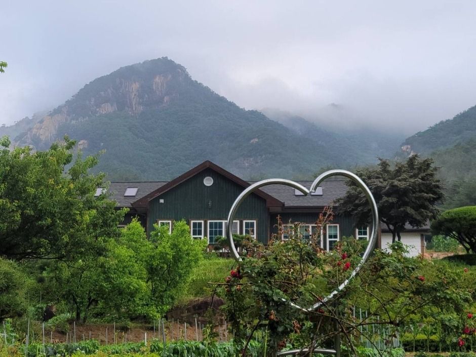聞慶五味子体験村