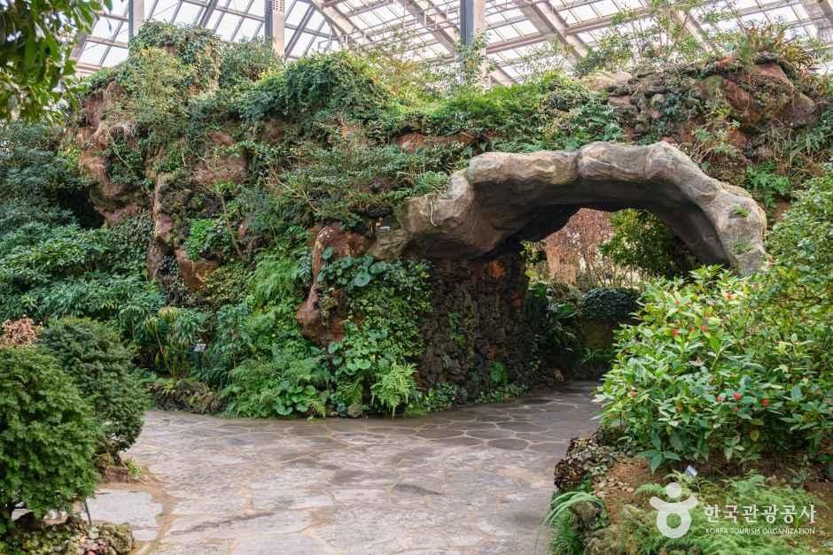 경기_화성_화성 우리꽃식물원_내부_1.jpg