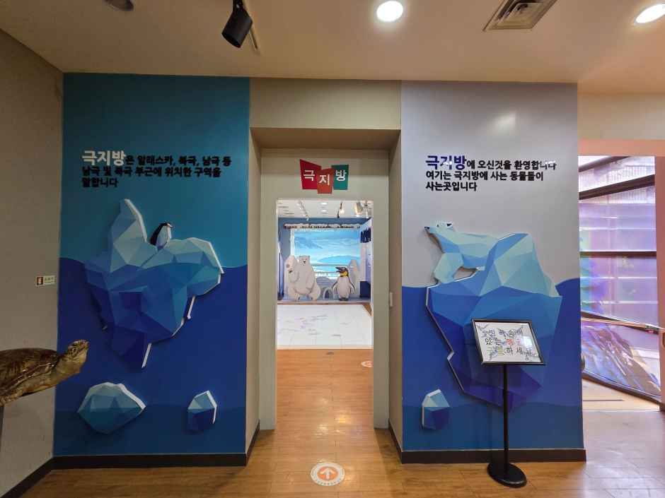 고성_고성자연사박물관 (2).jpg