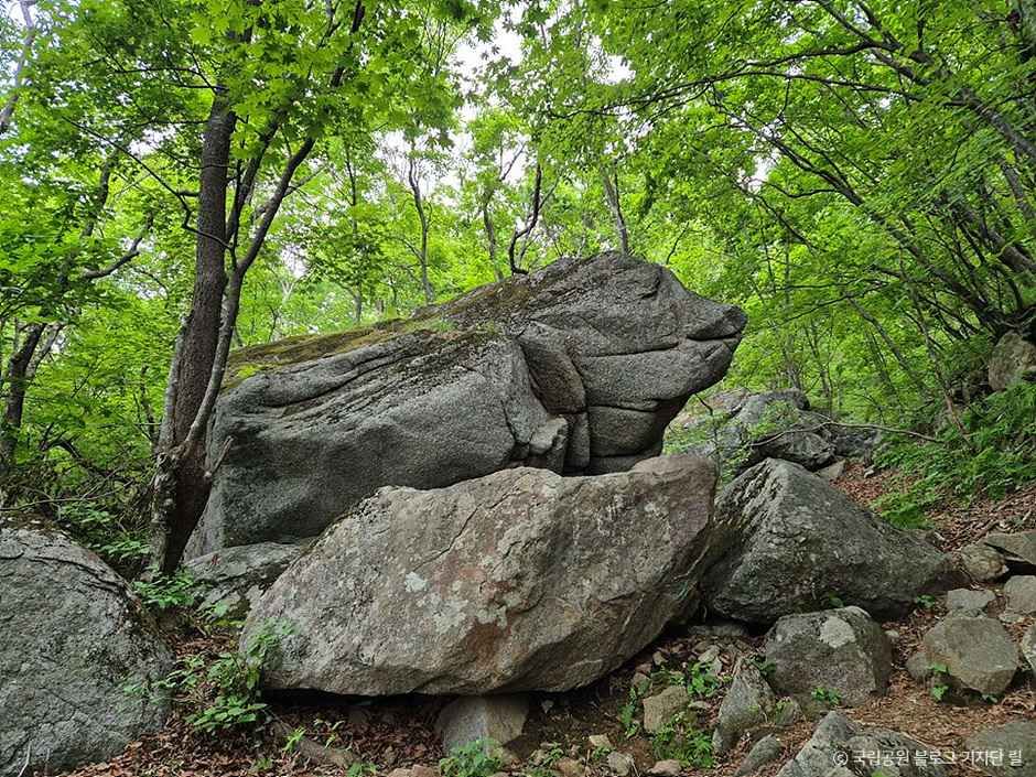 소백산 국망봉  돼지바위