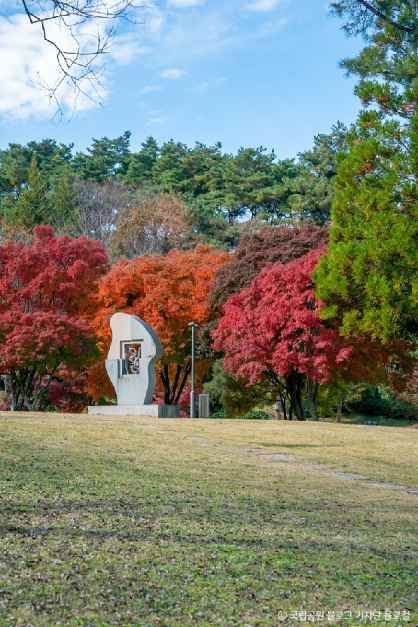 내장산조각공원
