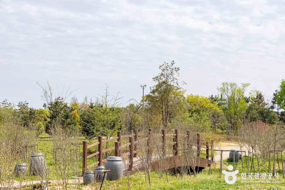 인천_계양구_계양꽃마루 (5)