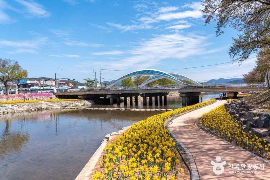 순창 양지천 꽃잔디길