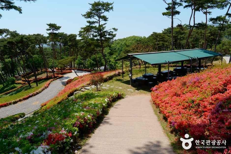 Hongseong Solbaram Theme Park