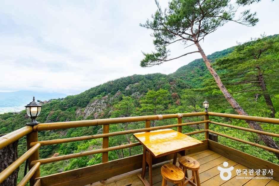 숲의하루