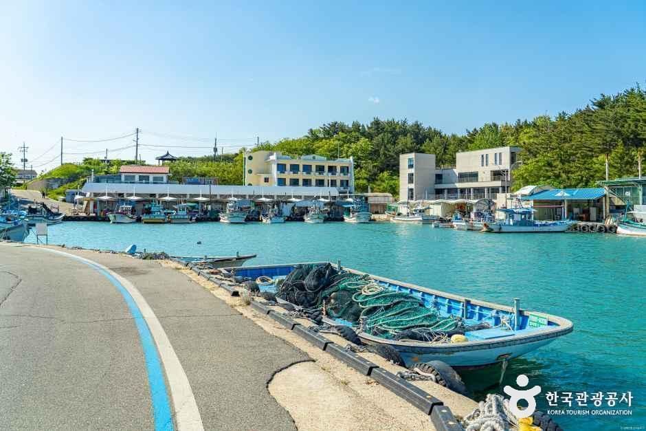 [해파랑길] 46코스