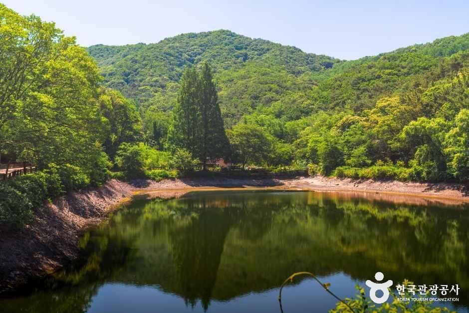 엔학고레 - 충청남도 공주시 반포면 불장골길 113-12 관광 명소