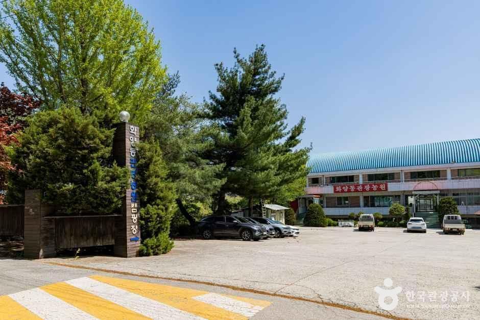 청천 화양동관광농원 초롱이캠핑장