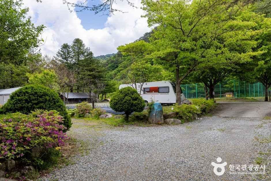 스카이운학오토캠핑장