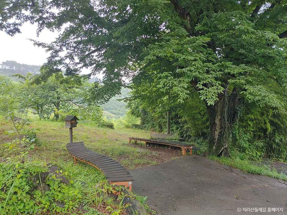 하동_[지리산둘레길] 대축~원부춘 (4).jpg
